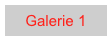 Galerie 1